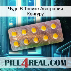 Чудо В Тонике Австралия Кенгуру new11